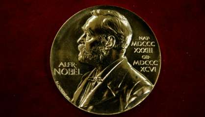 La chimie boucle les Nobel scientifiques