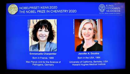 Le Nobel de chimie à deux chirurgiennes des gènes, dont une Française