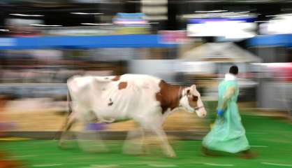 Annulation du salon de l'Agriculture 2021 à Paris