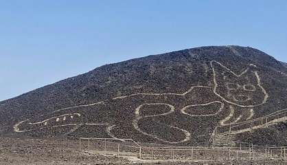 Pérou: un géoglyphe de chat découvert dans le désert de Nazca