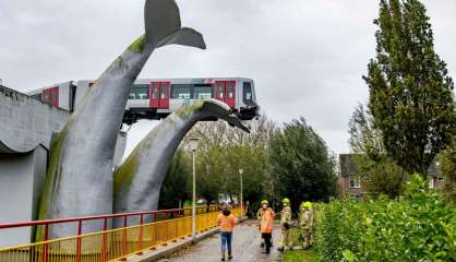 Pays-Bas: un métro qui déraille s'échoue sur une sculpture de cétacé