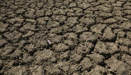 Le réchauffement climatique, une menace bien plus grande que le Covid, selon la Croix-Rouge