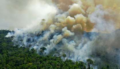 La déforestation en Amazonie brésilienne au plus haut depuis 12 ans