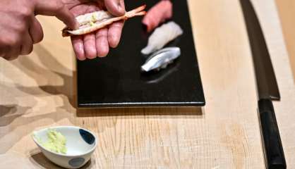 Le wasabi, or vert de la cuisine japonaise, piqué par la pandémie