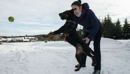 Les Tchèques préparent les chiens pour combattre le Covid-19