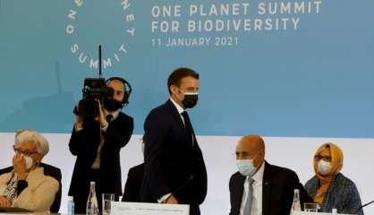 Un One planet Summit pour la biodiversité sans grandes avancées