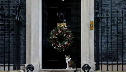 Le chat Larry, un animal politique à Downing Street