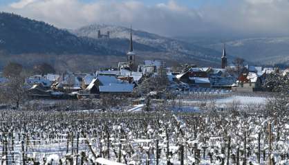 Gel: au moins 2 milliards d'euros de manque à gagner pour la viticulture (FNSEA)