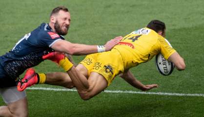 Coupe d'Europe de rugby: La Rochelle à la table des grands