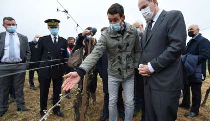 Vignes et vergers ravagés par le gel: Castex annonce un milliard d'euros d'aides aux producteurs