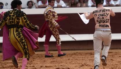 Interdire la corrida? Les députés planchent sur un sujet polémique