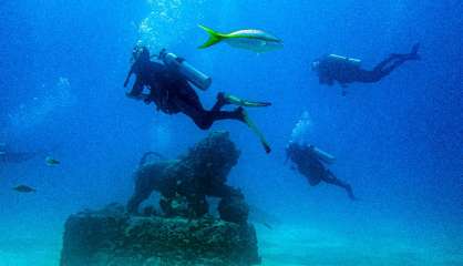 Au large de la Floride, un cimetière sous-marin utile à la faune aquatique