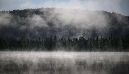 Vitale pour la planète, la forêt boréale aussi est en danger