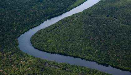 Déforestation: accord inédit de l'UE pour verdir ses importations