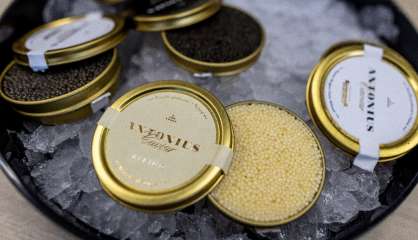 Un producteur polonais de caviar veut jeter aux oubliettes le 