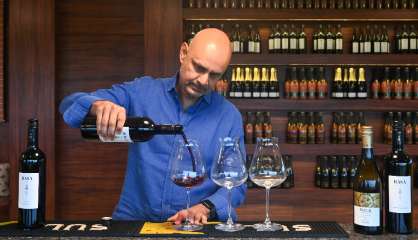 Le plus grand producteur de vin indien en quête de millions à la Bourse