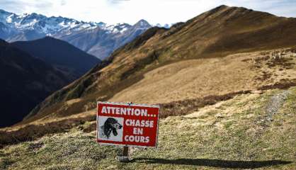 Le gouvernement va annoncer s'il interdit ou non la chasse le dimanche