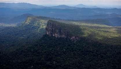 Brésil: des orpailleurs fuient les terres yanomami avant l'arrivée de la police