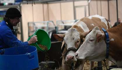 Salon de l'agriculture: Macron au contact du monde rural et des Français