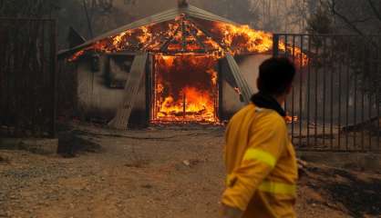 Chili: 22 morts dans des incendies de forêts, selon un nouveau bilan