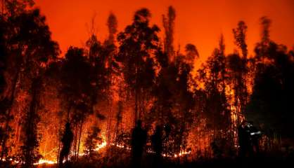 Chili: 24 morts dans des immenses feux de forêt, plus de 1.100 blessés