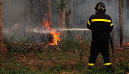 Vague de chaleur au Chili: les incendies menacent d'autres régions