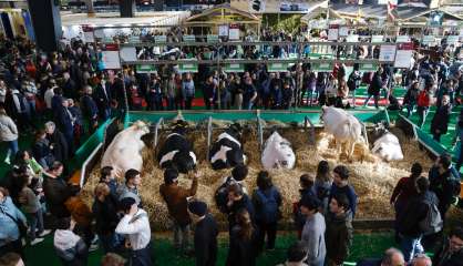 Exigences climatiques et plans d'aide, l'édition 2023 du Salon de l'agriculture