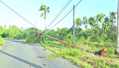 Plus de 1 150 foyers toujours privés d'électricité après le passage du cyclone Cook