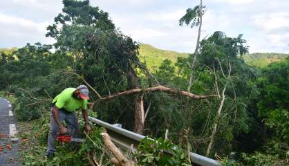 Cyclone Cook : élagages en cours à Dumbéa, la RT1 rouverte