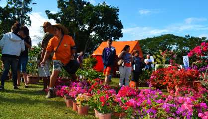 Dumbéa : le salon du jardinage se poursuit ce dimanche