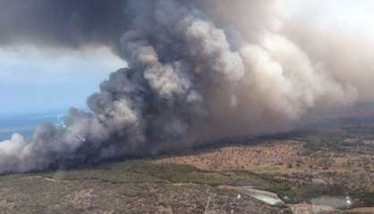 Incendies : Plus de 200 hectares partis en fumée à Koumac