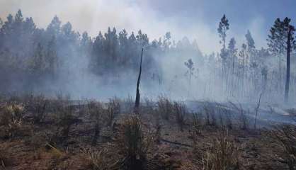 Incendie : Plus de 120 hectares partis en fumée à l'île des Pins