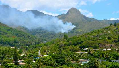 Mont-Dore : incendie en cours vers Yahoué