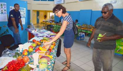 [NOUMÉA] Les fruits du Caillou à la Maison des artisans jusqu'à 18h30