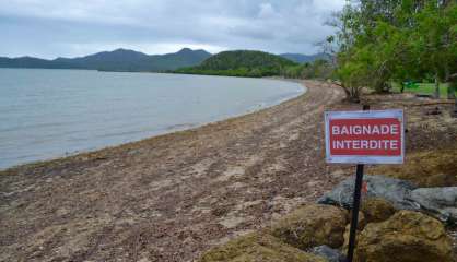 Baignade autorisée au Mont-Dore, toujours interdite à Dumbéa