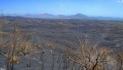 Païta : Décor lunaire à Bangou au lendemain de l'incendie