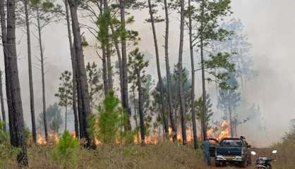 Païta, Mont-Dore, île des Pins : Le point sur les incendies