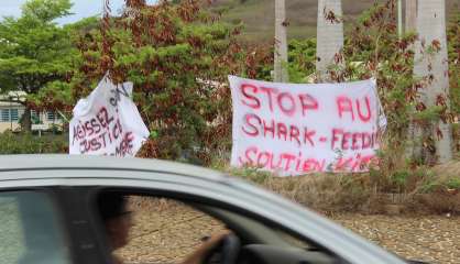 Près de 70 personnes rassemblées à Nouville contre le « shark-feeding »