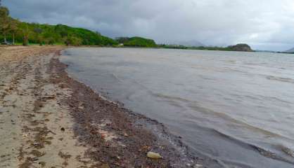 Grand Nouméa : les plages de Dumbéa et du Mont-Dore toujours fermées