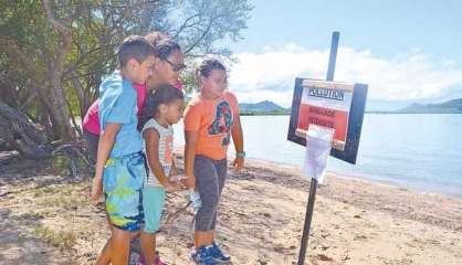 Grand Nouméa : L'année 2017 dans le rétro