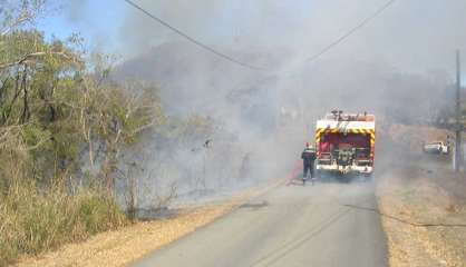 Feu de brousse à La Foa