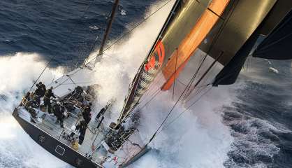 Comanche remporte la Sydney-Hobart sur tapis vert, les Cagous en approche