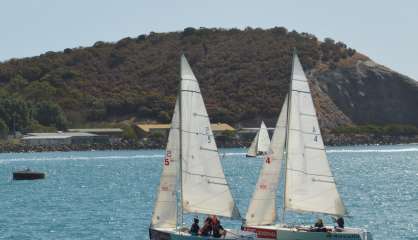 Le Trophée des jeunes marins et artistes, c'est demain