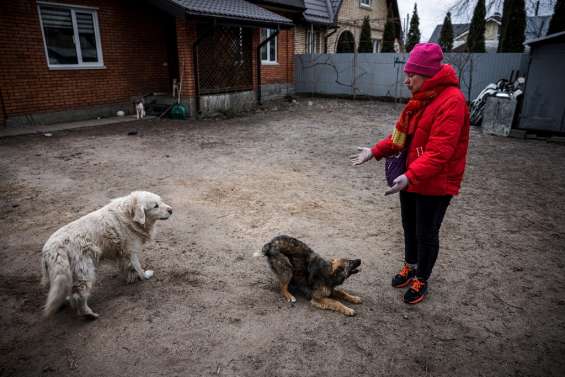 A Irpin, banlieue fantôme de Kiev, une poignée d'irréductibles refuse de partir