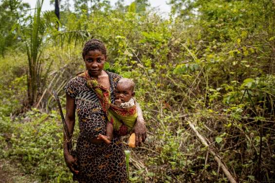 Les pygmées akas de Centrafrique, entre médecines traditionnelle et moderne