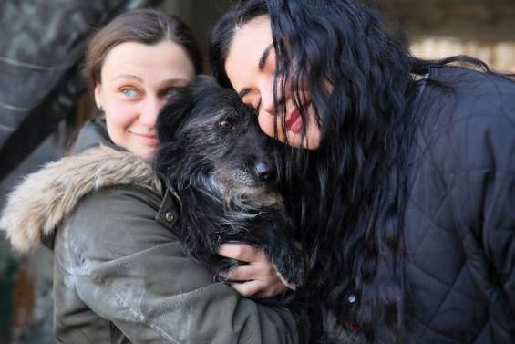 En Ukraine, les animaux prennent aussi les routes de l'exode