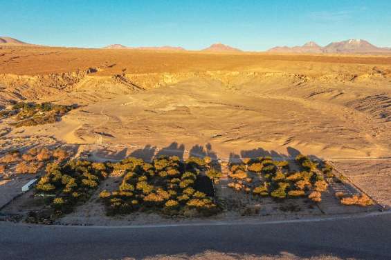 Soleil, aridité, altitude... le désert d'Atacama dans un verre de vin