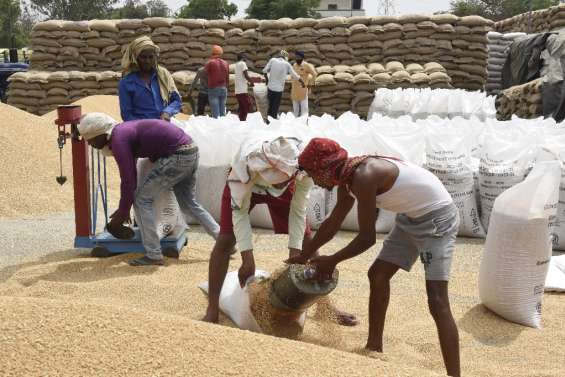 L'Inde interdit les exportations de blé, le G7 s'alarme d'une aggravation de la crise