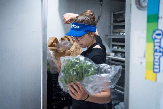 Canada: les ados à la rescousse d'un marché du travail en manque de bras