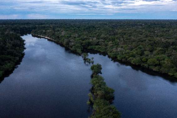 Biodiversité au Brésil: course contre la montre des scientifiques en Amazonie